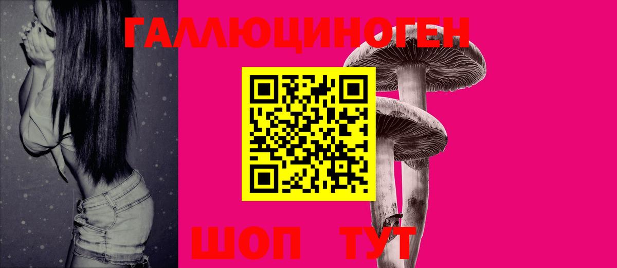 Псилоцибиновые грибы Psilocybine cubensis  Вход с VPN  Тамбов 
