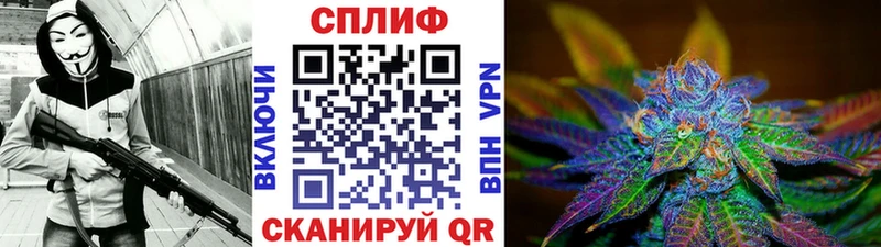 продажа наркотиков Тамбов Шишки марихуана сатива